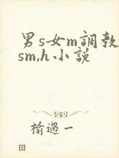 男s女m调教(sm,h小说