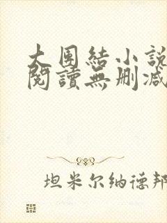 大团结小说在线阅读无删减