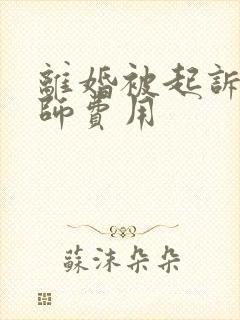 离婚被起诉请律师费用封面