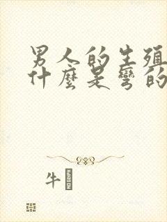 男人的生殖器为什么是弯的