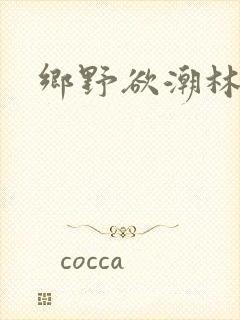 乡野欲潮林天城