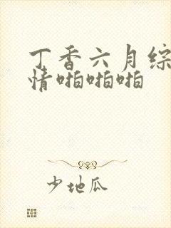 丁香六月综合激情啪啪啪