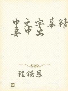 中文字幕精品人妻中出