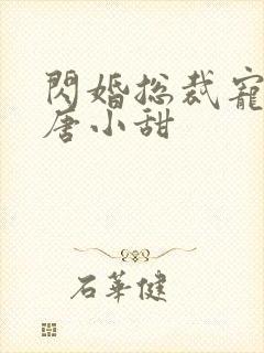 闪婚总裁宠爆了唐小甜