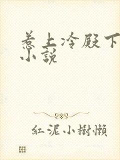 惹上冷殿下原著小说封面