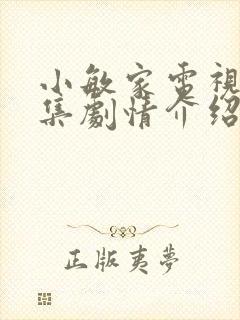 小敏家电视剧全集剧情介绍封面