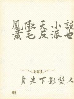凤傲天小说里的黄毛反派也想幸福免费
