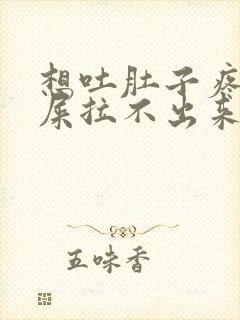 想吐肚子疼想拉屎拉不出来怎么回事