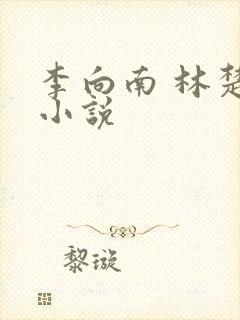 李向南 林楚乔小说