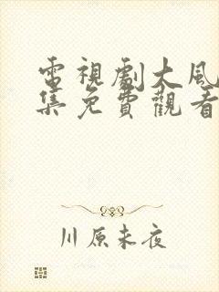 电视剧大风歌全集免费观看完整版