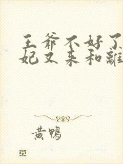 王爷不好了,王妃又来和离了