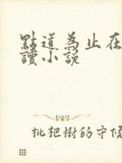 点道为止在线阅读小说