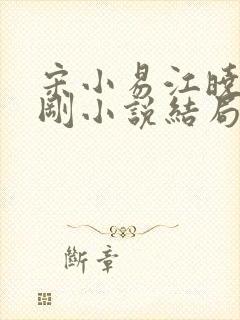 宋小易江晓萍吴刚小说结局