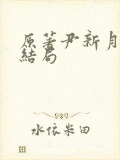 原著尹新月真实结局