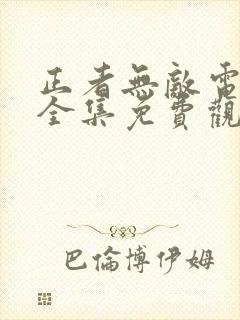 正者无敌电视剧全集免费观看