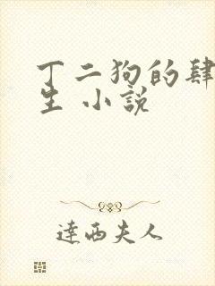 丁二狗的肆意人生 小说
