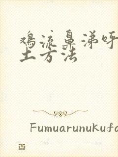 鸡流鼻涕呼噜用土方法