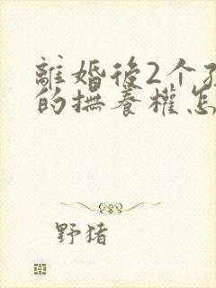 离婚后2个孩子的抚养权怎么判定呢