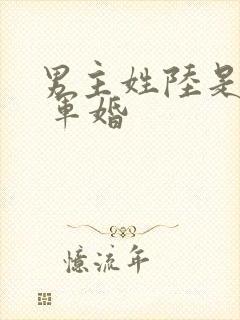 男主姓陆是首长 军婚