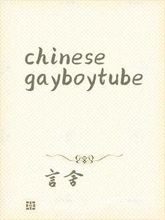 chinesegayboytube封面
