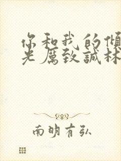 你和我的倾城时光厉致诚林浅