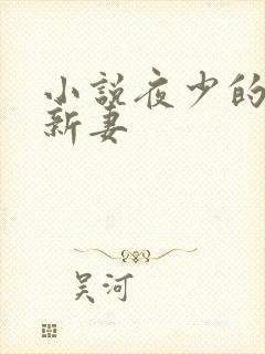 小说夜少的二婚新妻