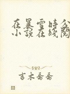 在暴雪时分原著小说在线阅读