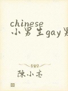 chinese小男生gay男男网站封面
