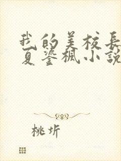 我的美校长妈妈夏鎏枫小说