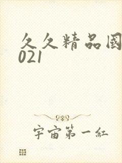 久久精品国产2021