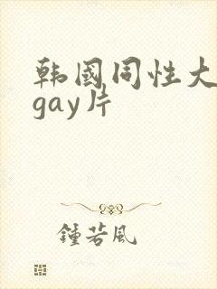 韩国同性大尺度gay片