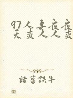 97人妻夜夜天天爽人人爽91封面