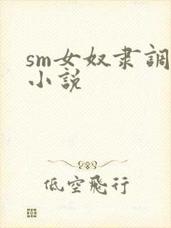 sm女奴隶调教小说