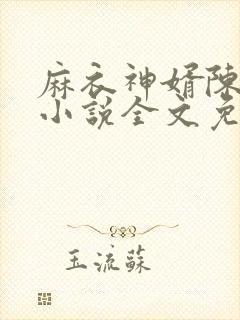 麻衣神婿陈黄皮小说全文免费阅读