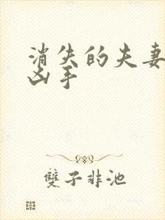 消失的夫妻四个凶手