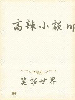高辣小说 np