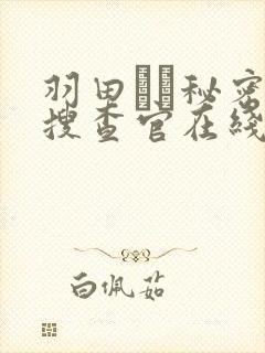 羽田あい秘密女搜查官在线观看封面