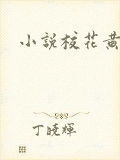 小说校花黄