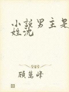 小说男主是律师姓沈