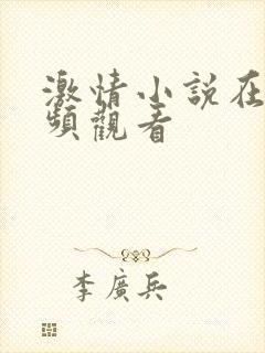 激情小说在线视频观看