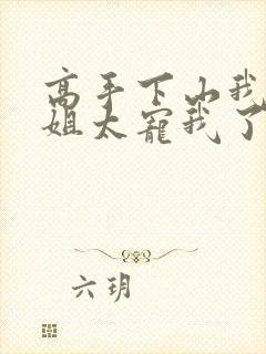 高手下山我家师姐太宠我了小说封面