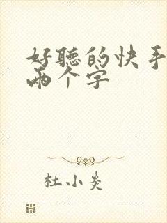 好听的快手昵称两个字