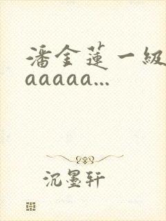 潘金莲一级淫片aaaaa...封面