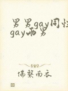 男男gay同性gay两男