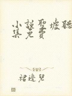 小说圣墟听书全集免费