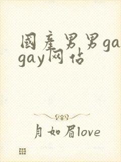 国产男男gaygay网站