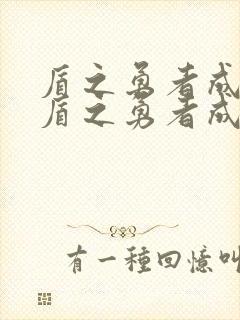 盾之勇者成名录盾之勇者成名录