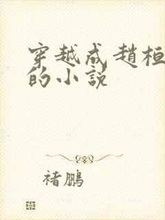 穿越成赵桓北宋的小说封面