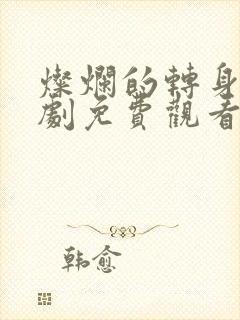 灿烂的转身电视剧免费观看全集高清封面