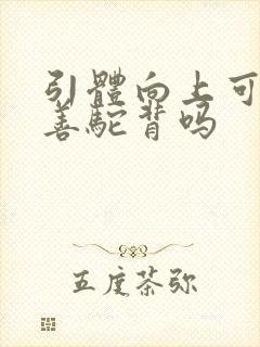 引体向上可以改善驼背吗